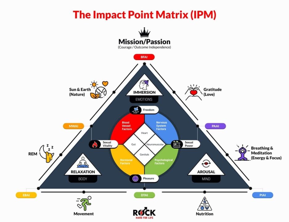 Impact Point Matrix (IPM) diagram